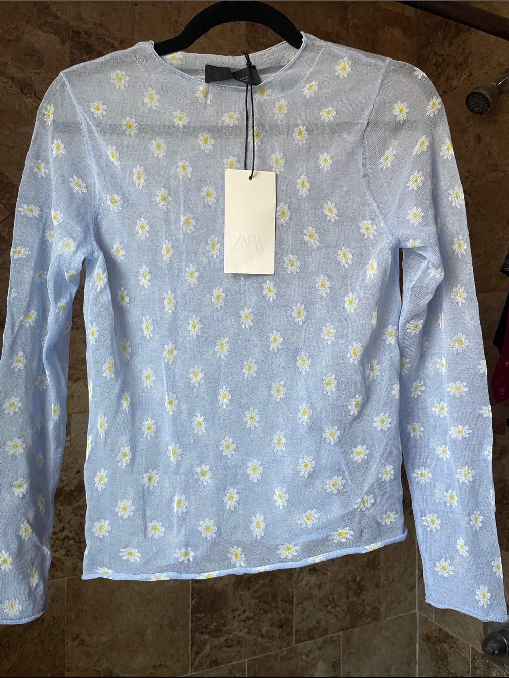 Zara Light Blue Daisy Mesh Blouse